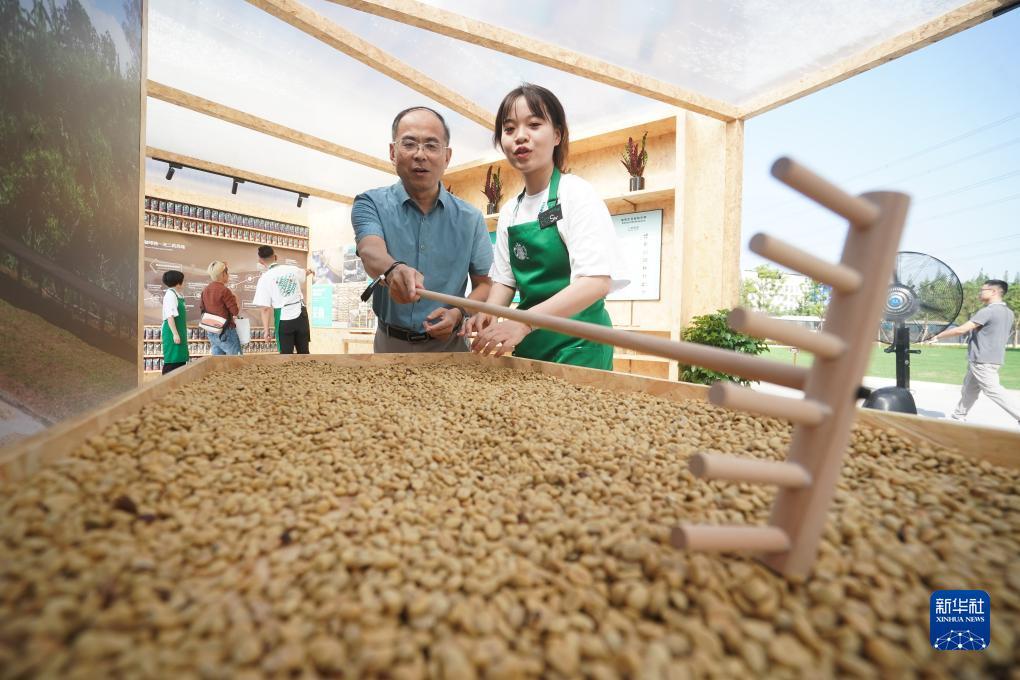 金沙总站15送35