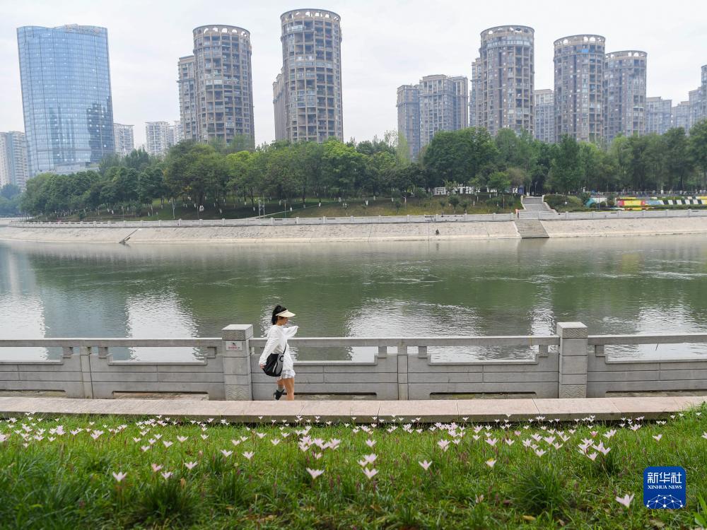 澳门新葡亰 是真的吗